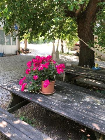 Agriresidence San Pietro Бибионе Экстерьер фото