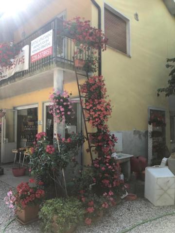 Agriresidence San Pietro Бибионе Экстерьер фото